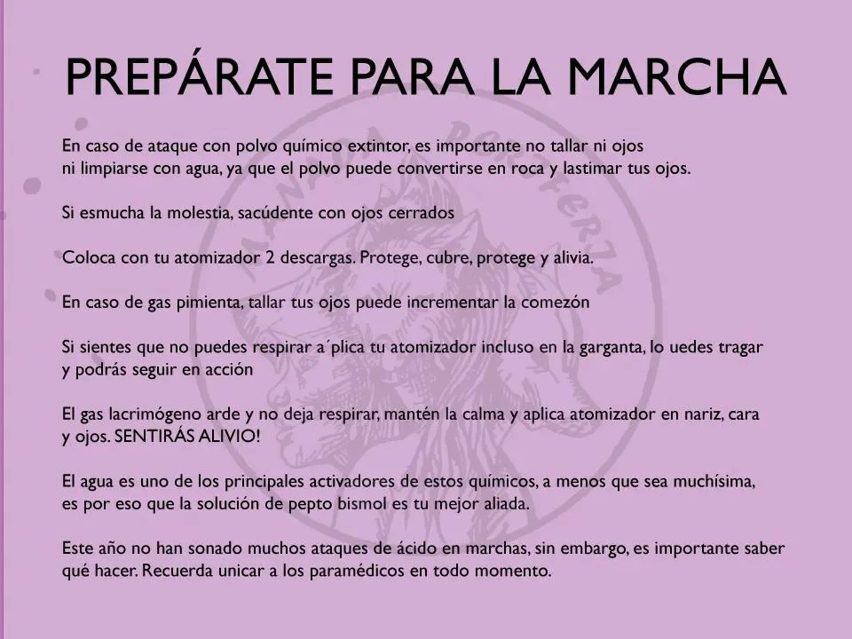 Manada Periferia (@manadaperiferia) on Twitter photo 