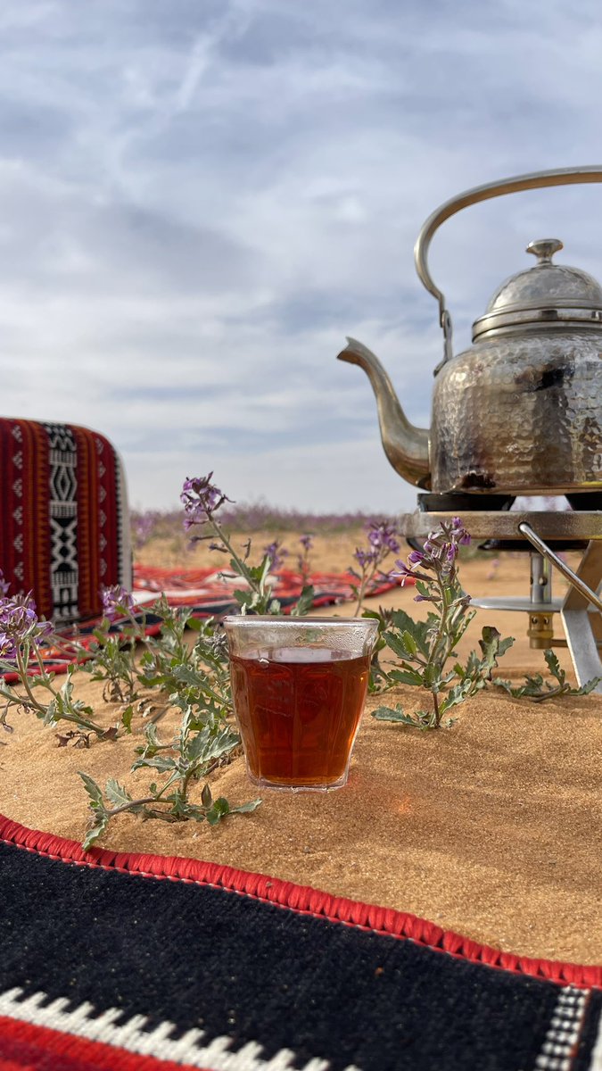 #ربيع_الشمال 2023

أهم شي الشاهي في كل مكان و زمان 😅