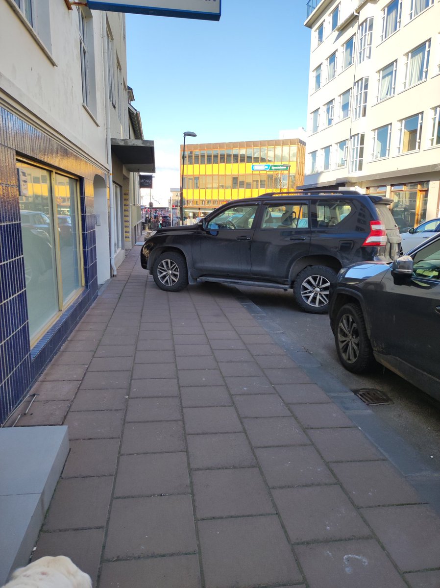 Sko, það að þú
a) sért á stórum bíl
b) kunni ekki að leggja á stórum bíl með parallel parking
c) þykist ekki finna nein laus stæði sem þú kannt að leggja í
Þýðir ekki að það sé í lagi að leggja upp á gangstétt. 
Fólk í hjólastól eða með barnavagn hefði ekki komist framhjá.