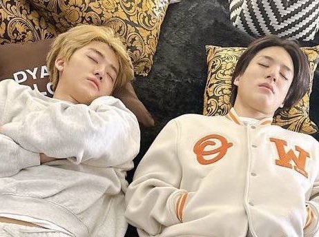 같이 놓고 보니까 놀다 지쳐 잠든 냥민멍노 같아서 갑자기 귀야움을 참을 수 없어