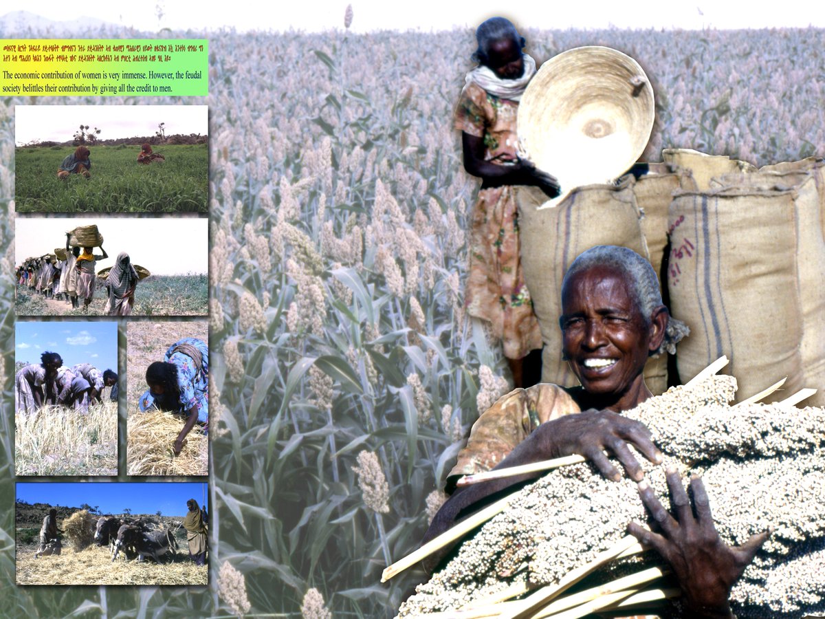 EmbassyEritrea's tweet photo. Happy Int’l Women’s Day 2023!
ኤርትራዊት - መኪታ ተድምዕ - ብርሃጻ ተልምዕ!
As the role of the #EritreanWomen in liberation struggle was indispensable, their versatile role in building a united &amp; equitable nation remains decisively important
#EritreaPrevails #IWD https://t.co/AXzKhMhZRr