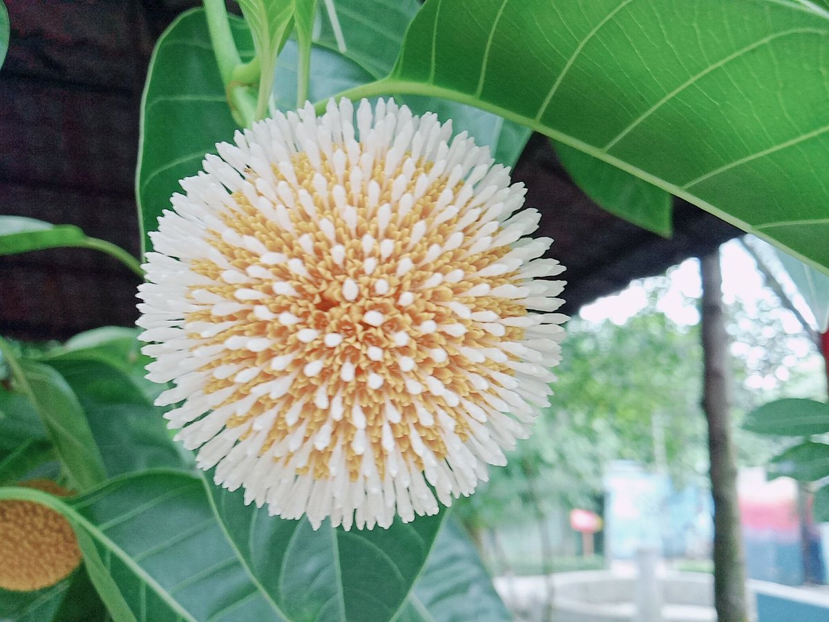 Rasel Kabir (@raselka27200234) on Twitter photo 