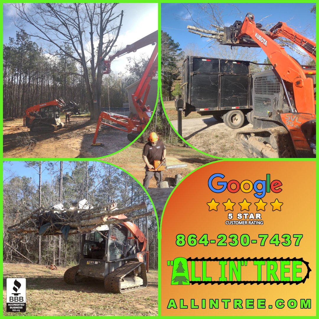 ALLINTREE's tweet photo. Call us for all your tree needs, trimming, removal, brush clearing, root digging.  864-230-7437 or check out our website for more https://t.co/gYyxlDSHDV https://t.co/X4hntkyZAh