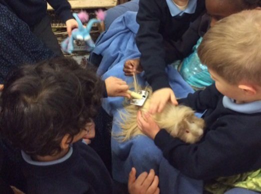 MBPSReception tweet media