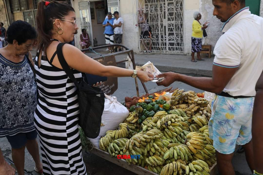 lavozinfo2023's tweet image. #CUBANET a compartido algunas fotos de mujeres cubanas al azar hoy quiero  quiero miren el rostro de la mujer cubana.
