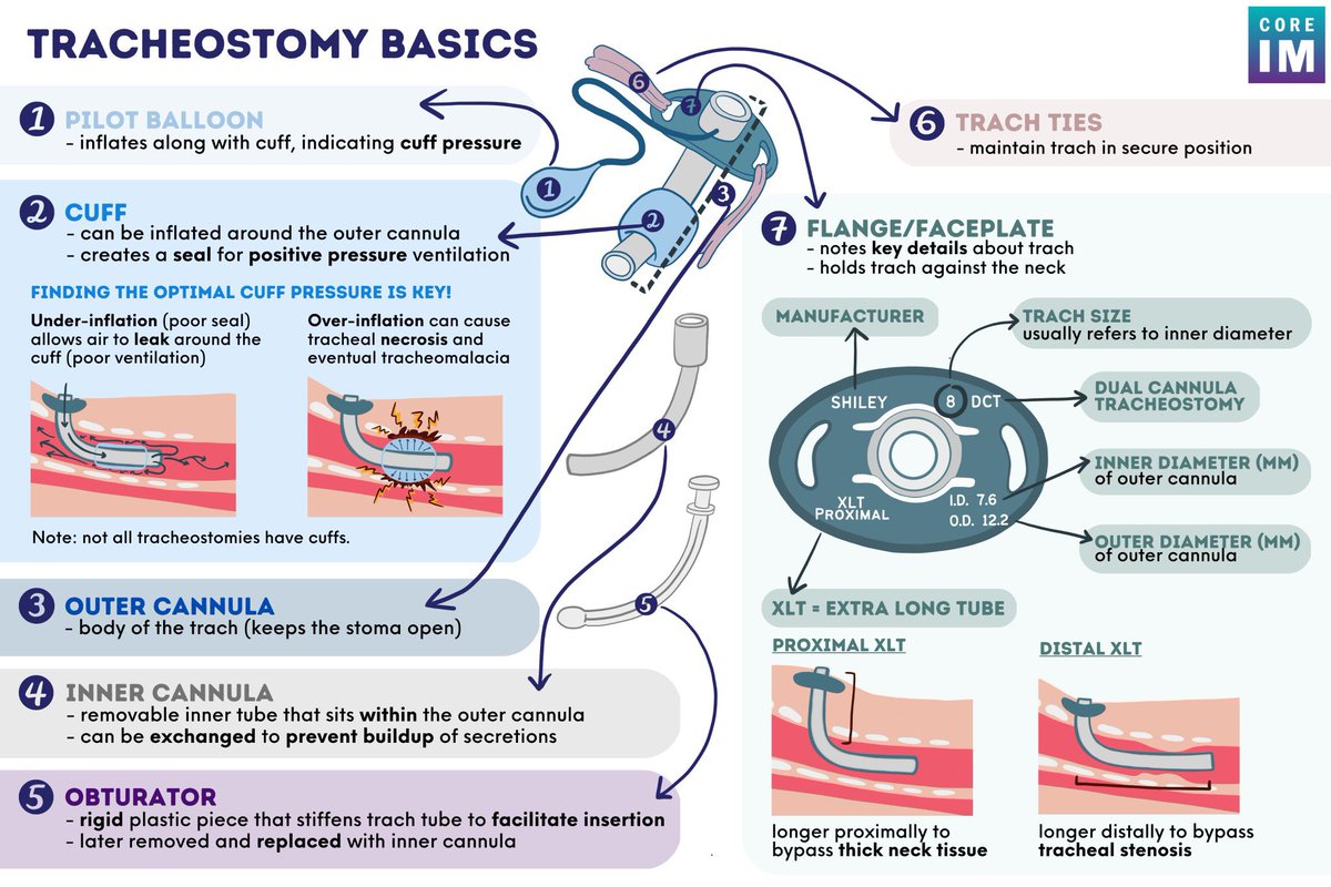 BrownJHM's tweet image. Tracheostomy basics @COREIMpodcast Full episode link: bit.ly/3Yuzy2P #Pulmtwitter #Medtwitter