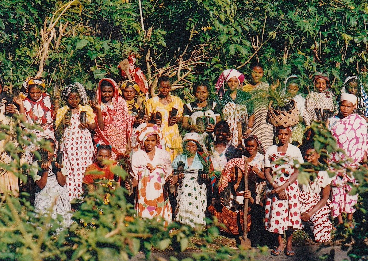 ouliemata's tweet photo. My most memorable #InternationalWomensDay was planting trees with women from the island of Anjouan in the #ComorosIslands, 1995. They understood that these grassroots efforts could revitalize their community &amp; the world. 💚@PeaceCorps #EnvironmentalEducation #WednesdayWisdom https://t.co/8JD8eVQYr4