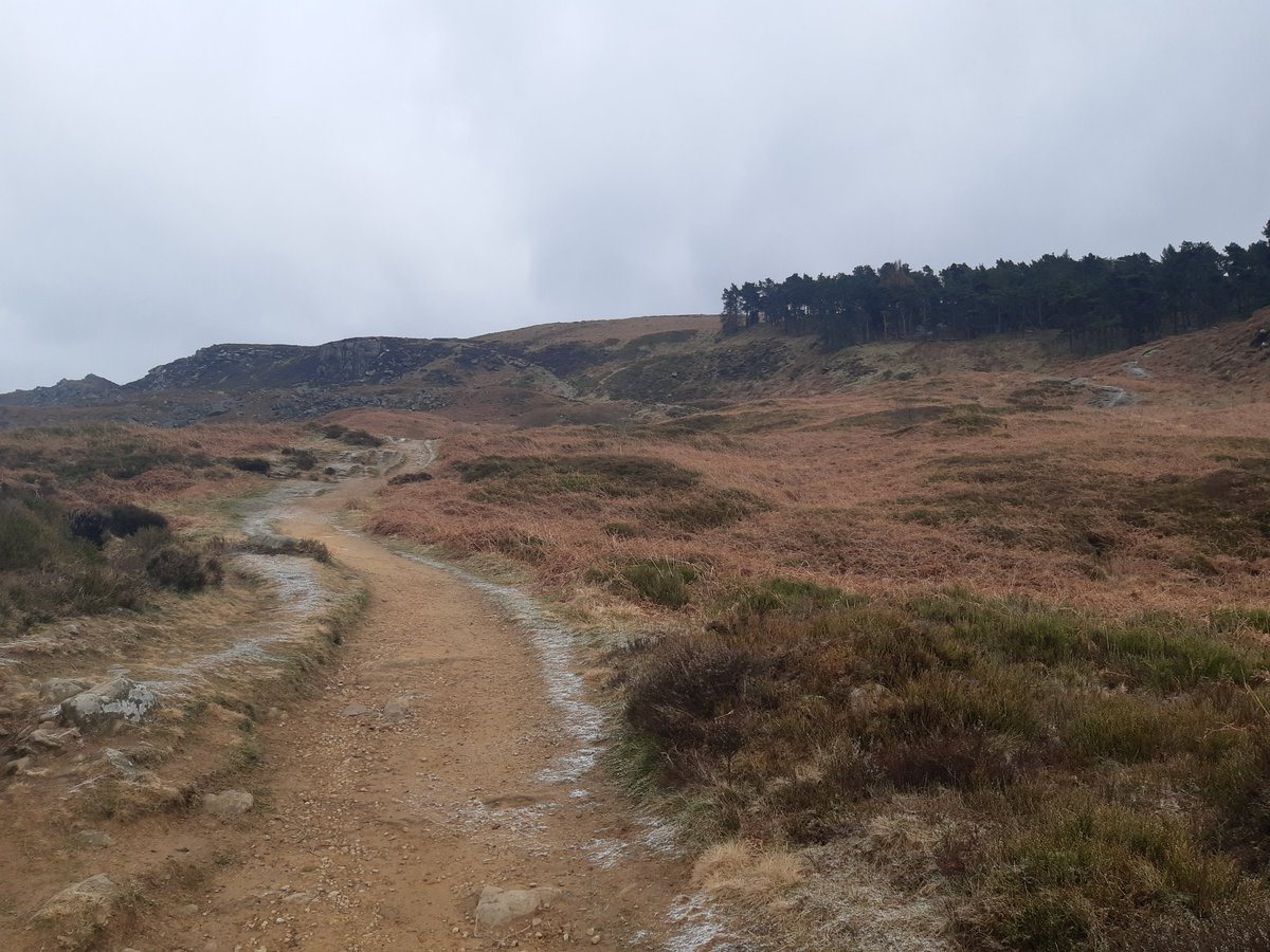 Greg Wright tweet media