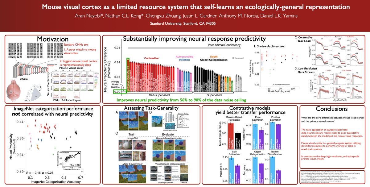 Aran Nayebi (@aran_nayebi) on Twitter photo If you're attending #cosyne2023, stop by our Poster III-002 👇 this Saturday at 8:30 pm on "Mouse visual cortex as a limited resource system that self-learns an ecologically-general representation"!
w/ <a href="/NathanKong/">Nathan Kong</a> <a href="/ChengxuZhuang/">Chengxu Zhuang</a> Justin Gardner <a href="/amnorcia/">Anthony M. Norcia</a> <a href="/dyamins/">Daniel Yamins</a> If you're attending #cosyne2023, stop by our Poster III-002 👇 this Saturday at 8:30 pm on "Mouse visual cortex as a limited resource system that self-learns an ecologically-general representation"!
w/ <a href="/NathanKong/">Nathan Kong</a> <a href="/ChengxuZhuang/">Chengxu Zhuang</a> Justin Gardner <a href="/amnorcia/">Anthony M. Norcia</a> <a href="/dyamins/">Daniel Yamins</a>