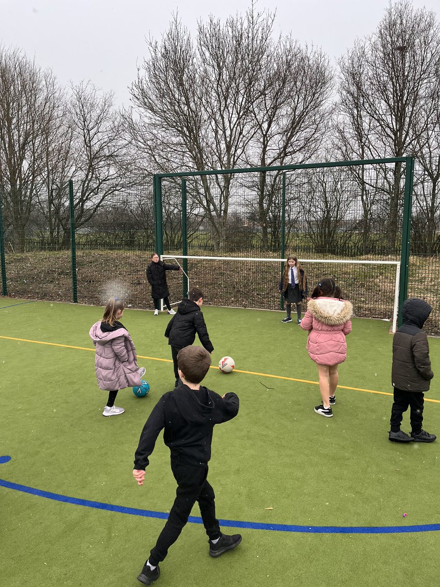 Year 2 HighStPrimary tweet media