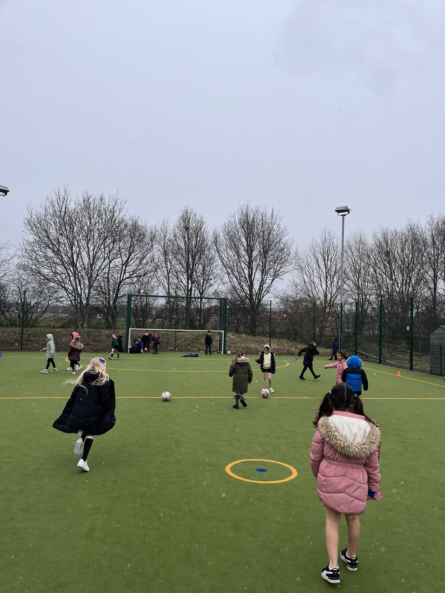 Year 2 HighStPrimary tweet media