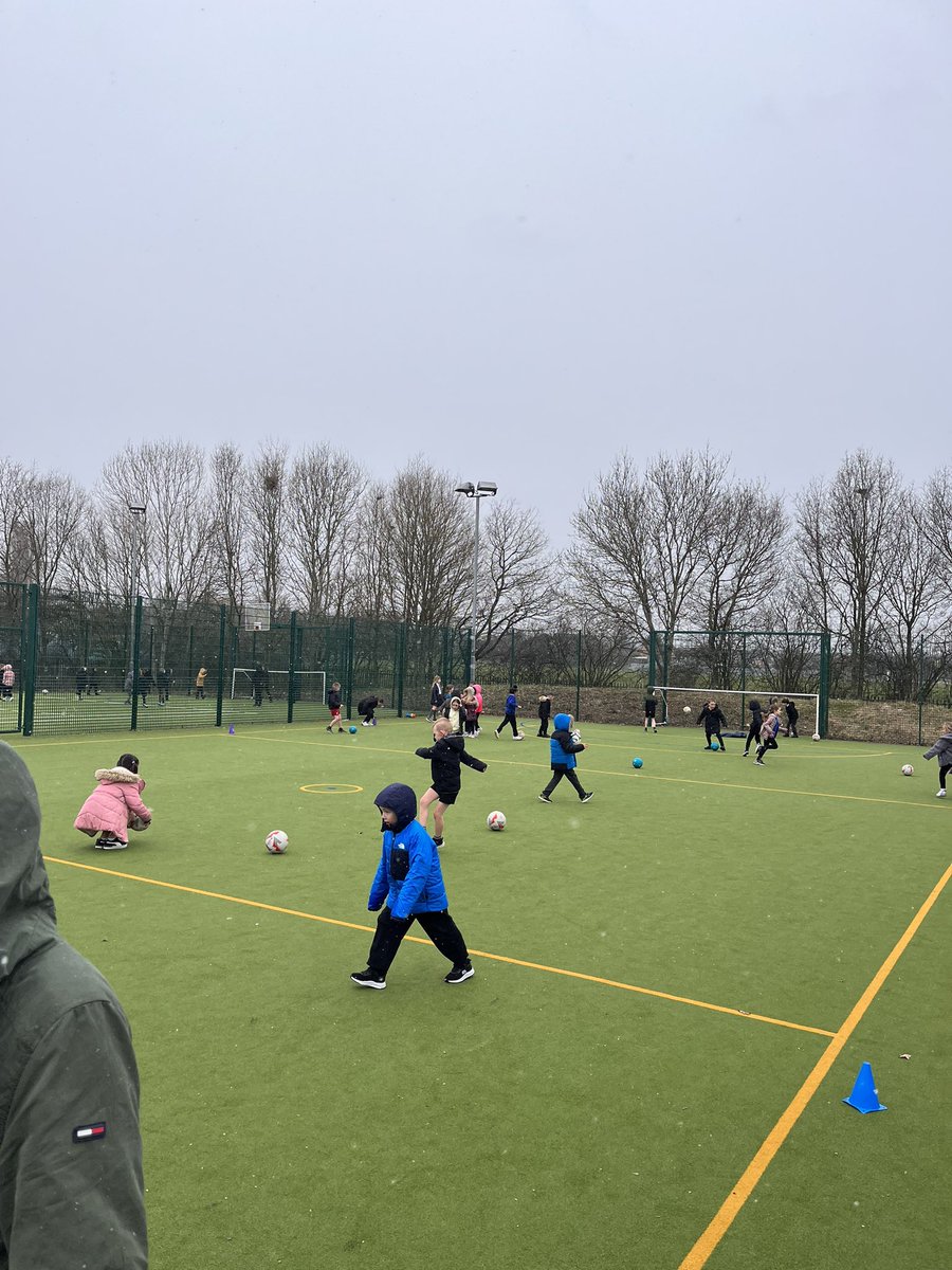 Year 2 HighStPrimary tweet media