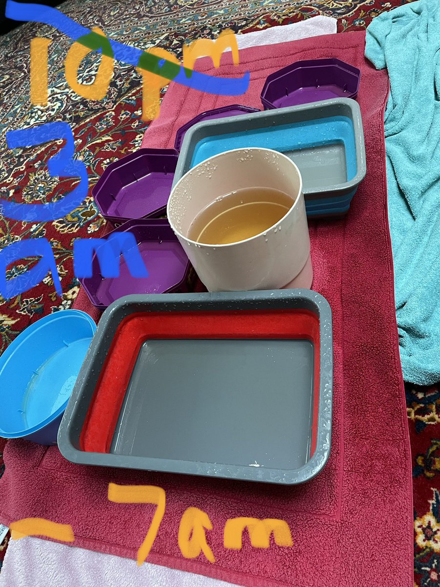jennywalkabout's tweet photo. Spending too long on SM today. Mitigating circumstances. Bowl and bucket duty. Moving, emptying. New roof (3 weeks ago) leaking again (“fixed” twice). We get all the good luck @grannie_wise @sarasiobhan  It’s a bit like #WalkaboutWeather https://t.co/k4u0CAykdU