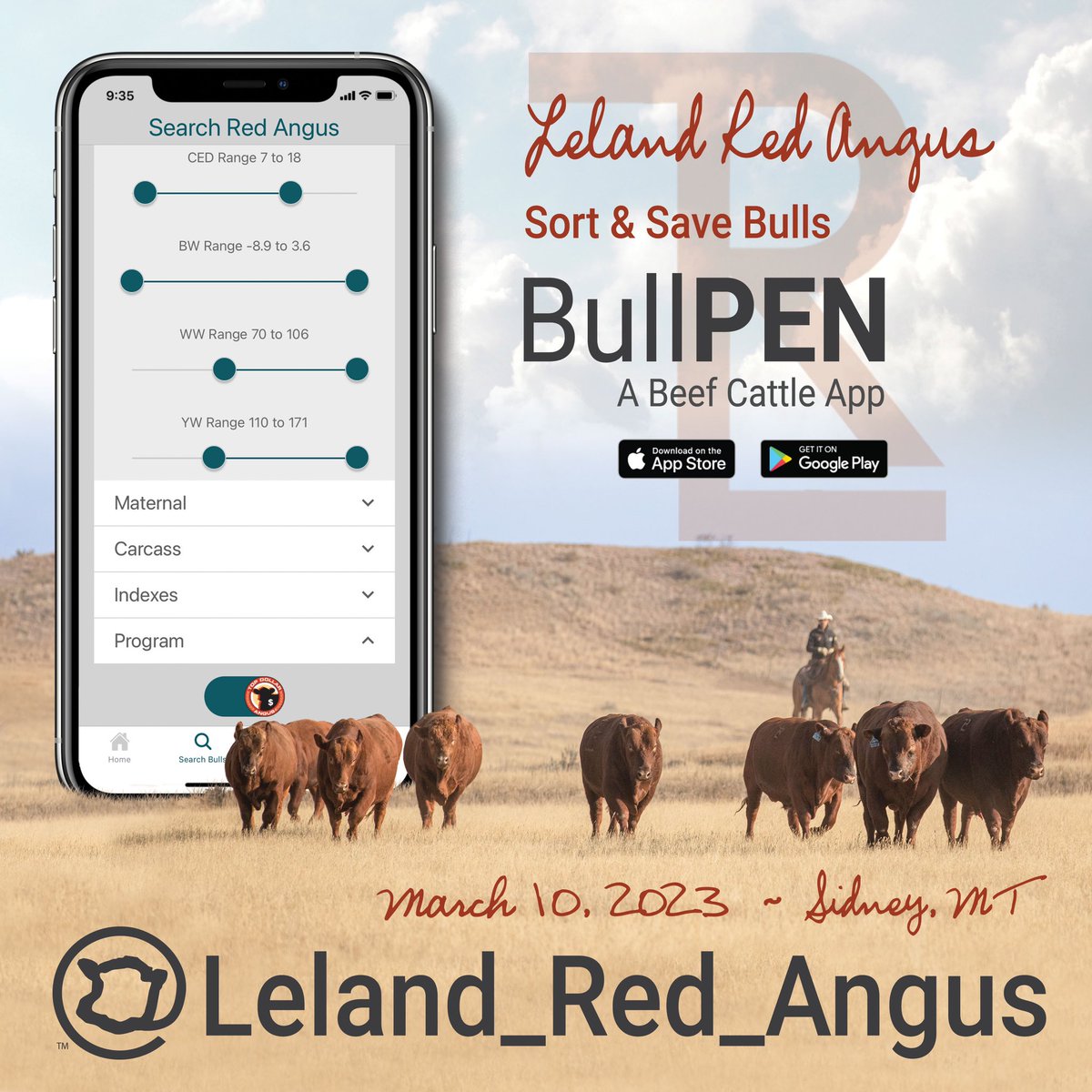 getpenned's tweet photo. Leland Red Angus Bull Sale 3-10-23 - Sidney, MT #redangus #cattle #cattleapp #ranchapp #agtech #cattletech #bullsale #livestockauction #agtwitter #ranching #cattlemen https://t.co/12wHwwfh7H