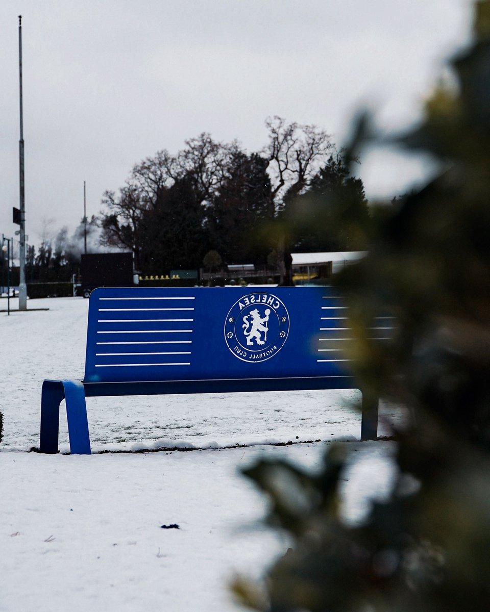 Snow days at Cobham! 🌨