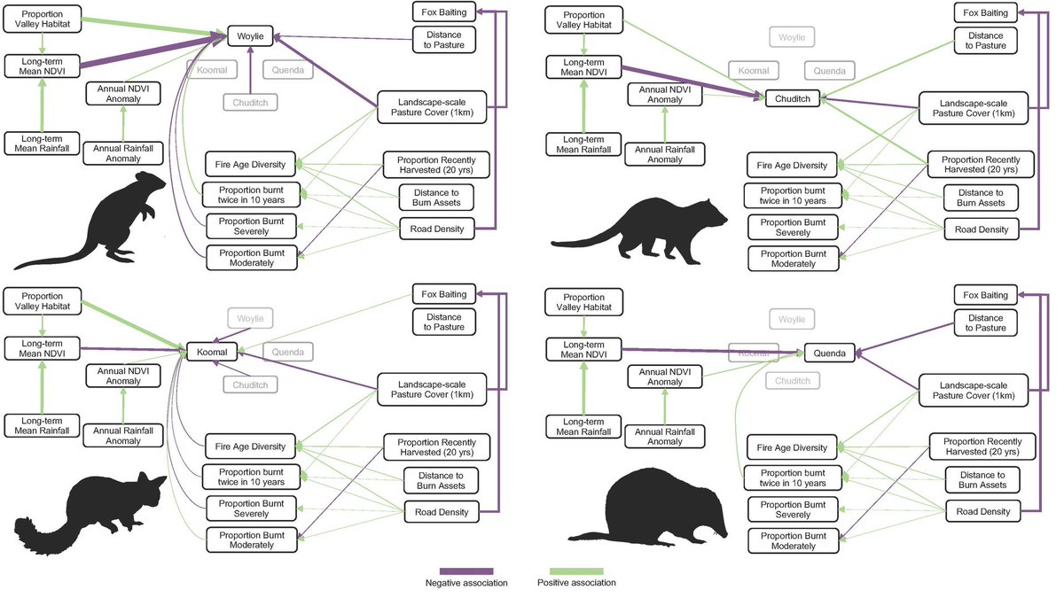 || NEW RESEARCH || Identifying historical and future #globalchange drivers that place species recovery at risk 📄 bit.ly/3IUoG8L @billy_geary @euanritchie1 @BiodiversityGuy @ayeshatulloch @TimDoherty_ @Science_DBCA @Deakin @DeakinSEBE