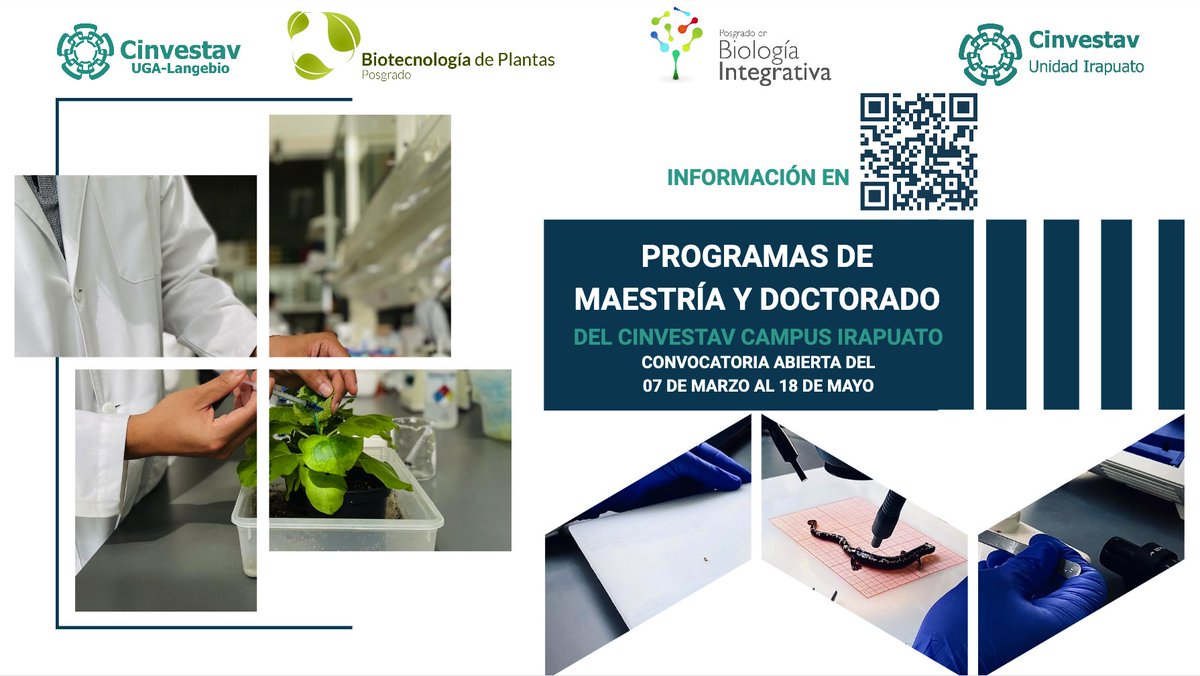 ¡¡¡CONVOCATORIA ABIERTA!!!
Ya esta abierta la convocatoria 2023 para los programas de Biotecnología de Plantas y Biología Integrativa (Maestría y Doctorado)
📅 Cierre: 18 de mayo de 2023
Mas información: bit.ly/3wQCLOI
