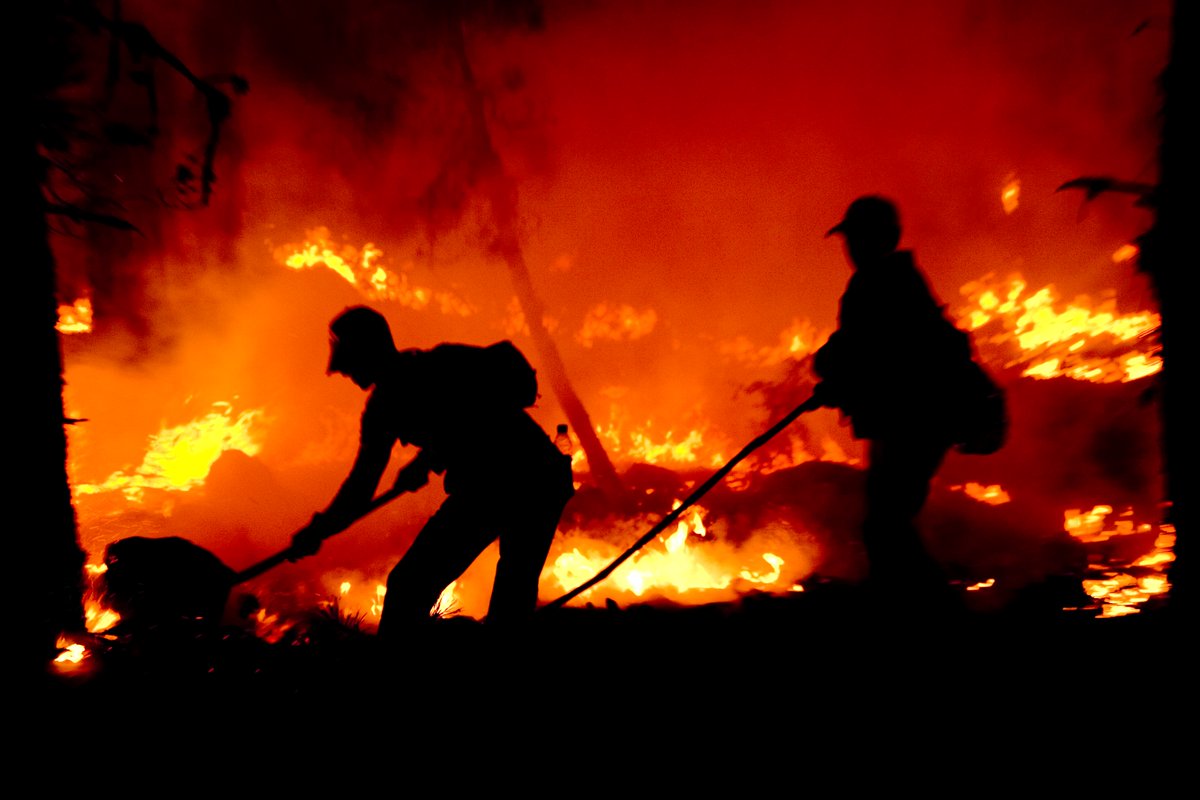 Sayın Cumhurbaşkanım orman işçilerine değer verdiğinizi  biliyoruz. Sözleşmelilere, taşerona kadro deniliyor, ama bize de 12 ay çalışın deniliyor, yılın 12 ayı iş var Sayın cumhurbaskanim. Herkes kadrolu olurken bize niye kadro yok 
#Ormanişçilerinekadro

<a href="/RTErdogan/">Recep Tayyip Erdoğan</a>
<a href="/vedatbilgn/">Vedat Bilgin</a>