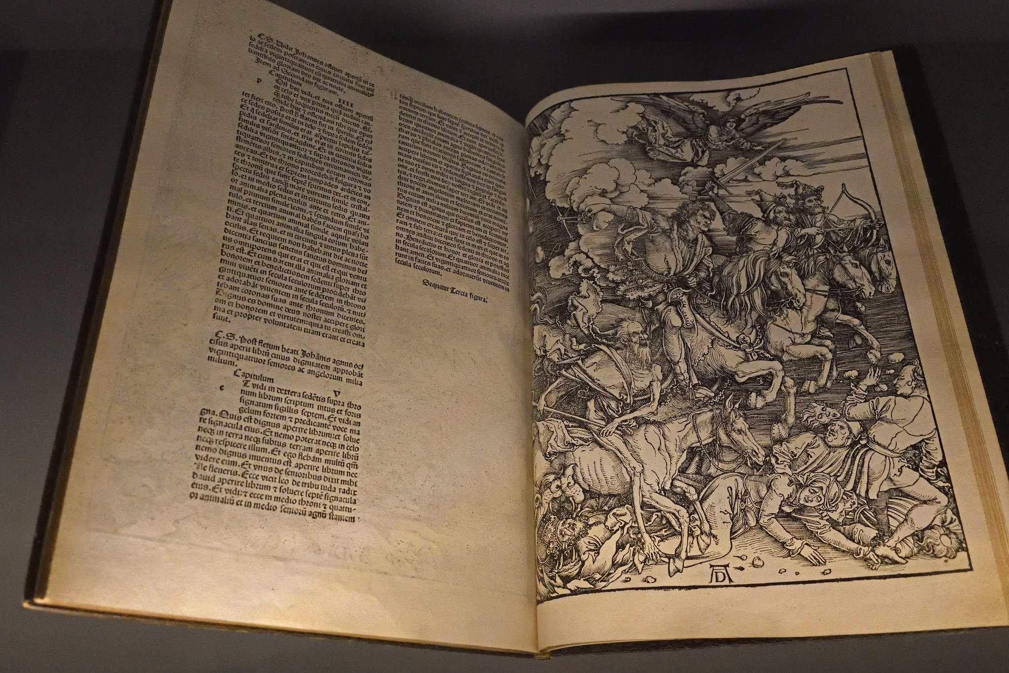 Dürer's woodcuts or copper engravings were used to create standalone prints and illustrate books.

T