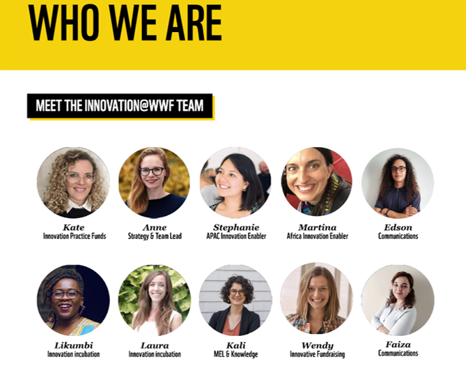 schacht4seas's tweet photo. Our @WWF has perhaps been rather famous for being #outmoded than for ♀️#herstory, but here are the heads of the global WWF #innovation and #knowledge team - Happy #IWD2023! 👏👏👏
👇 https://t.co/GqE1yUVyKU