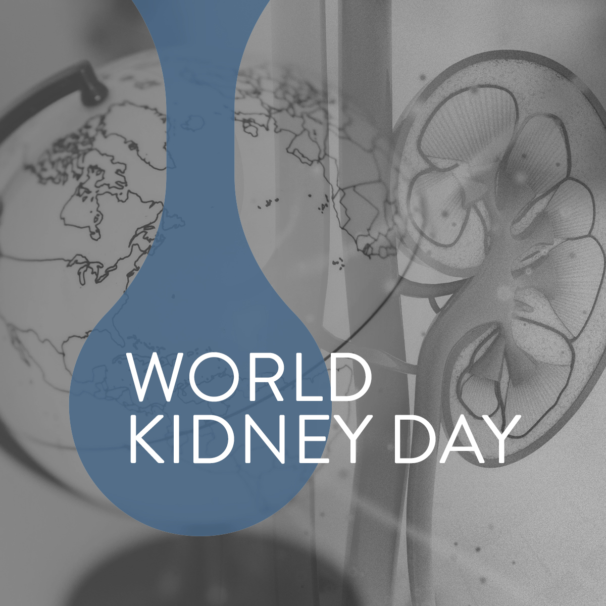 To show our support for #WorldKidneyDay2023, we invite you to join us for #RRIKidneyWalk in Central Park, NYC starting at 4:00 pm ET. Details can be found here: bit.ly/WKD-2023
#WorldKidneyDay #NationalKidneyMonth #ShowYourKidneys #KidneyHealthForAll