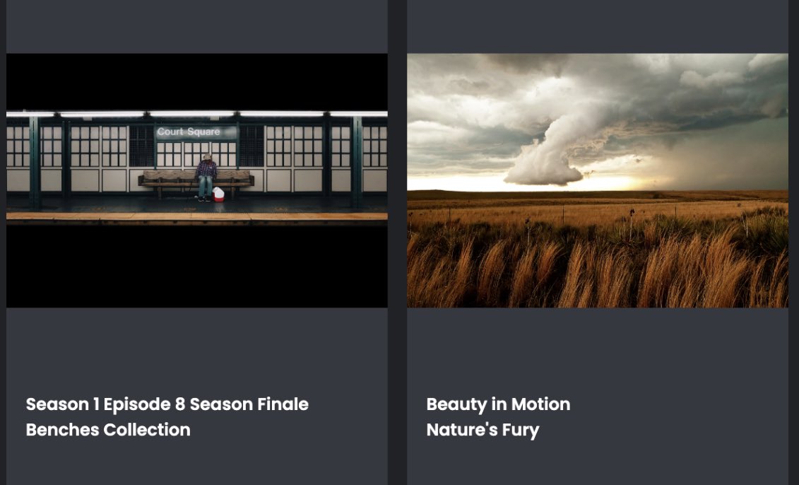 A big shoutout to the talented women whose beautiful work has graced my collection!

💎 <a href="/Saraboychuk_/">Sara Boychuk 🏔❄️</a> <a href="/LeslieASpurlock/">lesliespurlock.sol | NFT.NYC 2024 🏴‍☠️</a> <a href="/TheEstherWoo/">Esther</a> <a href="/minemanapturel/">Mine</a> <a href="/nanigutierrez_/">Nani Gutiérrez</a>