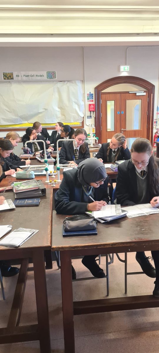 LumenC_Careers's tweet photo. Year 11&amp;12 students sharing their experiences of failure and how they came back from them. #NCW2023 #resilience #firstattemptinlearning https://t.co/9igqxTjD4b