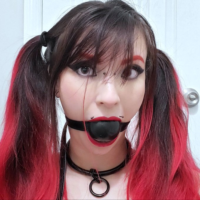 Eternity Collars is having a giveaway!!!! If you didn't know already, I love their collars, and 100%<a href="/tag/tripsixday"class="tags"><span>#tripsixday</span></a>