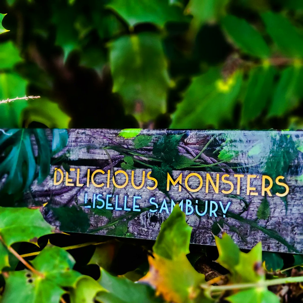 danzibooks's tweet image. Watch me sob like a baby while reading DELICIOUS MONSTERS by @LiselleSambury 😭 I'm such a scaredy cat.

#MelaninInYA #ReadCaribbean