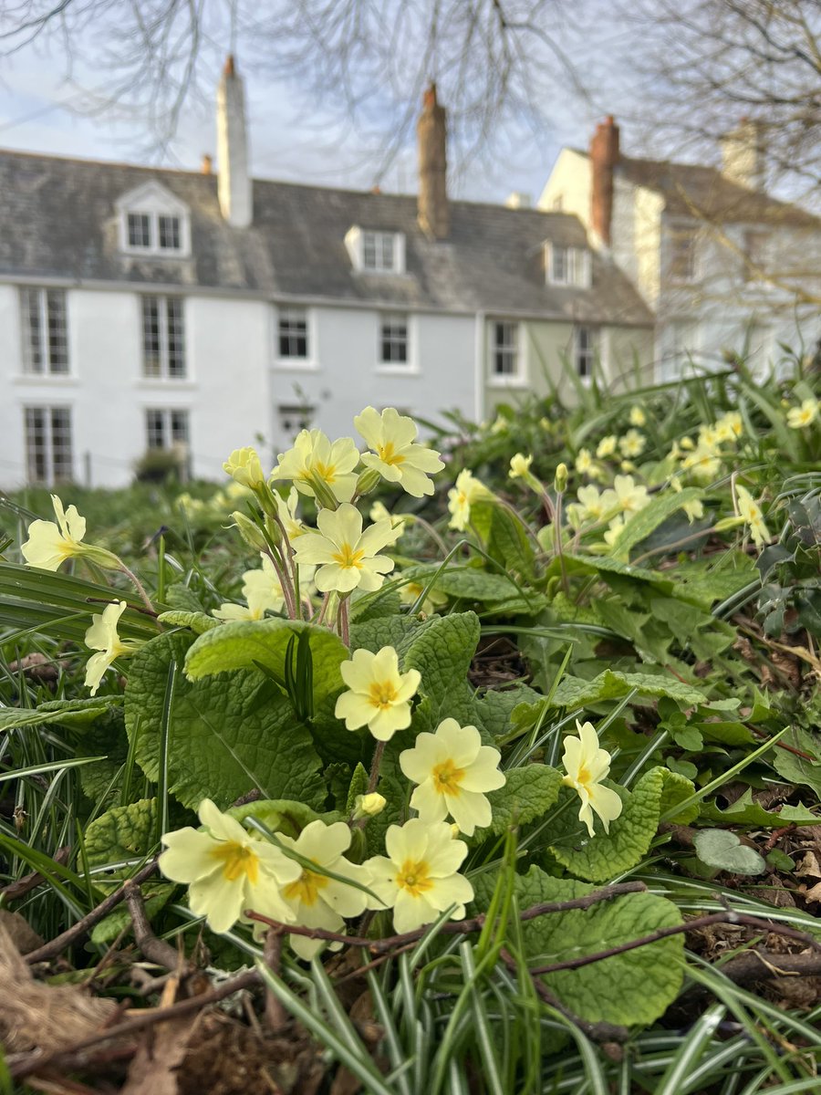 Mr_John_Harvey_'s tweet photo. Spring Springing in one of my favourite parts of #Exeter (admittedly not today ๐ฅถ)โฆ #LoveExeter #HiddenExeter
https://t.co/KSWGa0uW4L https://t.co/OfC1hohJSG