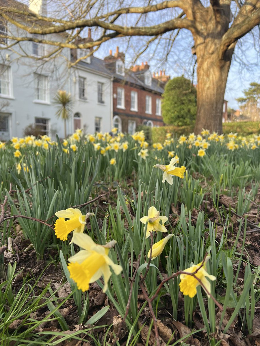 Mr_John_Harvey_'s tweet photo. Spring Springing in one of my favourite parts of #Exeter (admittedly not today ๐ฅถ)โฆ #LoveExeter #HiddenExeter
https://t.co/KSWGa0uW4L https://t.co/OfC1hohJSG