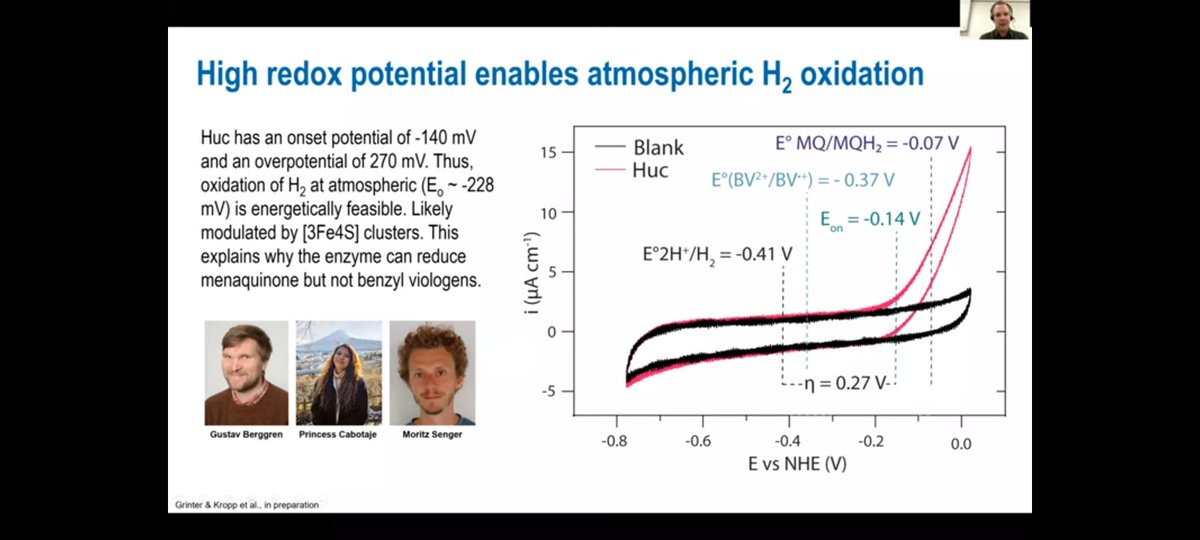 Last year Chris Greening spoke about "a pretty crap enzyme" in his Hydrogenase Lecture. 
youtu.be/eN2ED41xlEk
Now our paper on the H2-high-affinity, O2-insensitive [NiFe]-hydrogenase Huc is finally online 🔥 nature.com/articles/s4158…