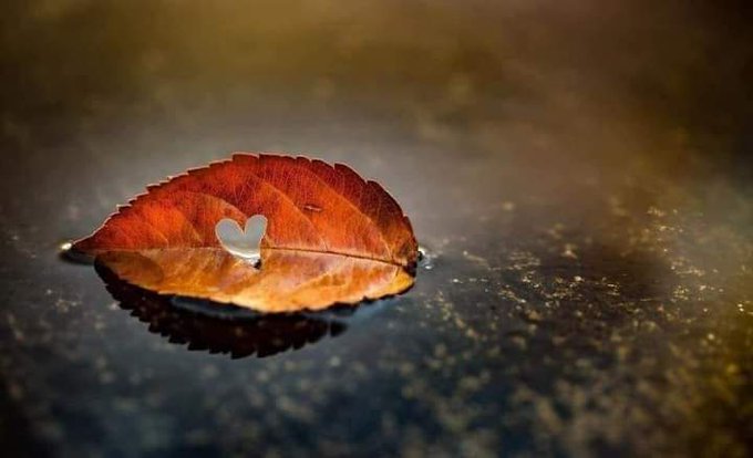 ''Kalbin yetmiyorsa sevemeyeceğin insanı yorma. Cesaretin yoksa, yürüyemeyeceğin yola çıkma.''

Tolstoy