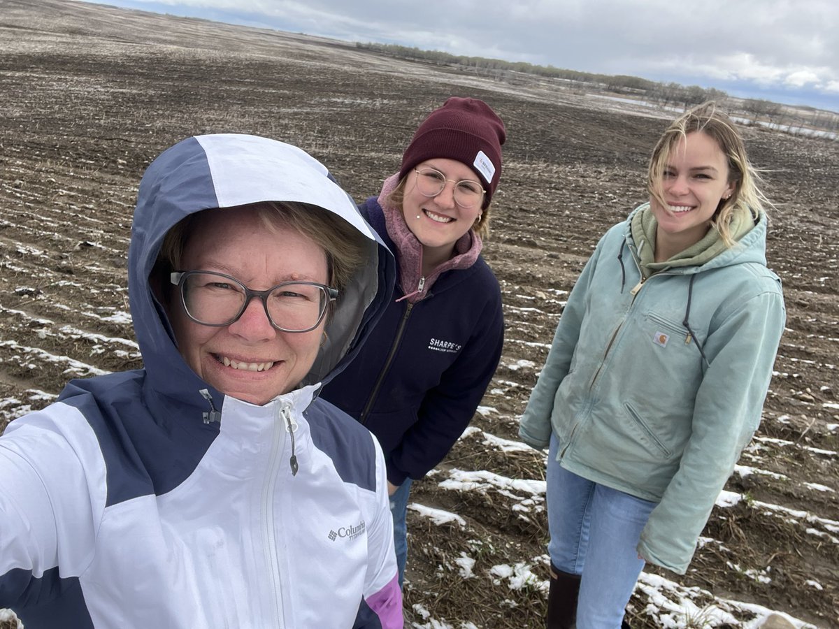 Happy International Women’s Day to these beauties and the other amazing ladies at Sharpe’s Crop Services!