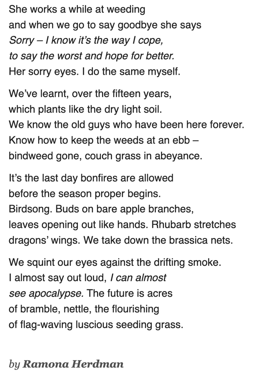 brookespoetry's tweet photo. Our #WeeklyPoem is back and is now being edited by Poetry Centre Intern Bethany Edwards! Her first choice is 'It won't be a normal year' by @RamonaHerdman, which comes from Ramona's new book Glut (@NineArchesPress): https://t.co/N9Bso4W1Ny https://t.co/3kxqPlBu9s