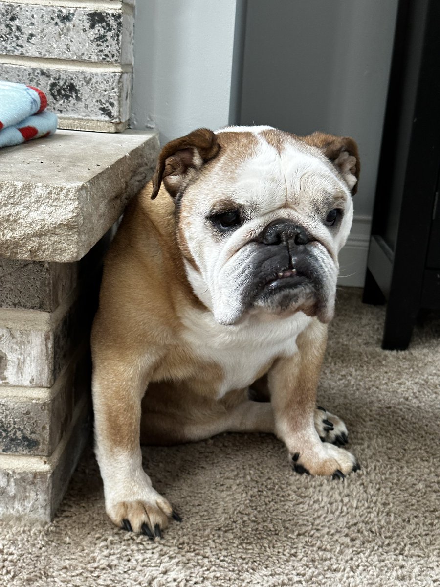 Mom says I’m a fine wine 💜