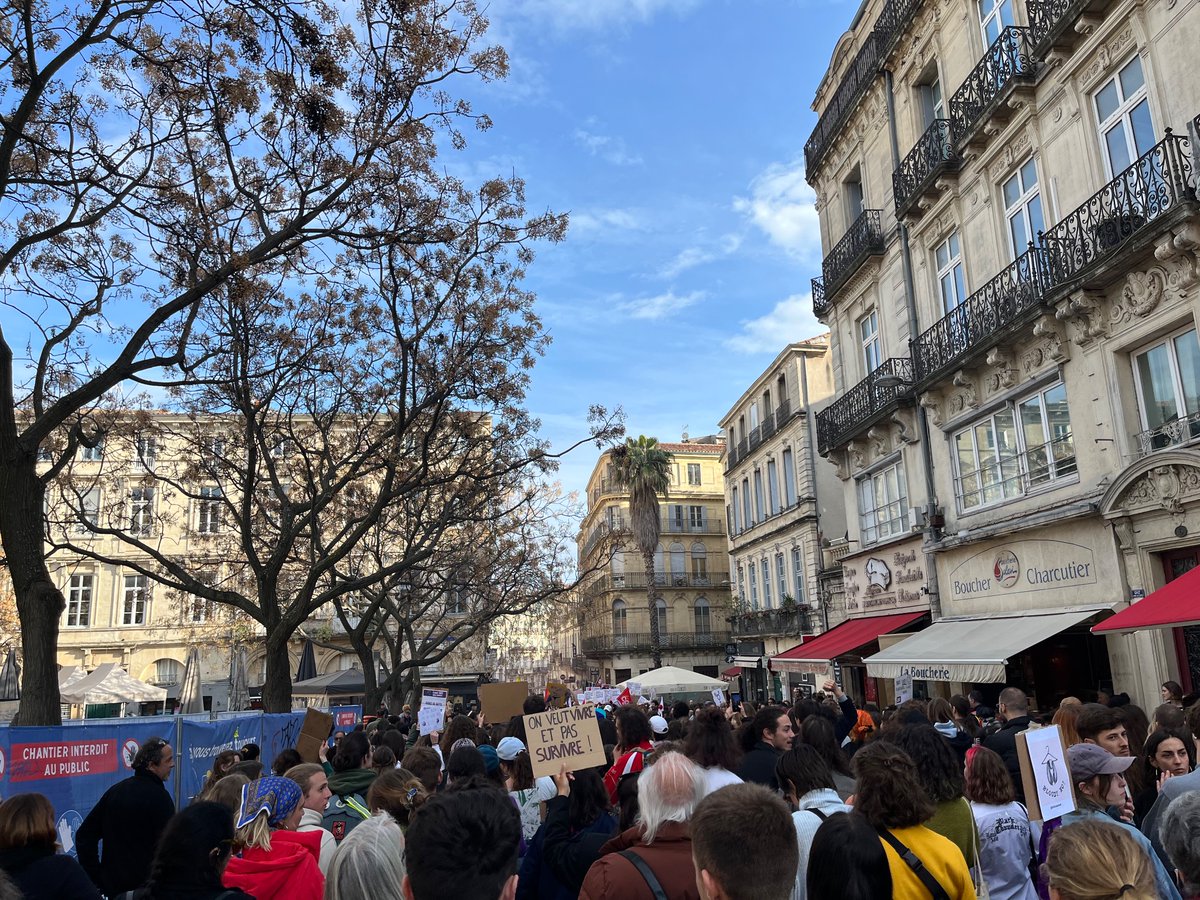 didumdida's tweet image. Grüße von der Frauentagsdemo in Montpellier.