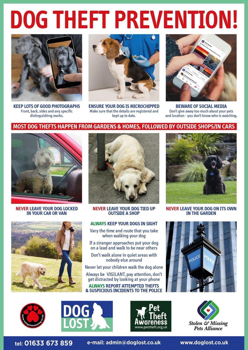 Don’t forget it’s #DogTheftAwarenessDay⭐️ on Tuesday 14th March 

Please Get Involved ⭐️ Read These Tips to Keep Your #Dog Safe & RT to Raise Awareness

#DogsOfTwitter  #Pets  #DogLostUK #PetTheftReform #MakeChipsCount #FernsLaw
