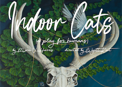 Catch <a href="/RTCRedTheater/">Red Theater Chicago</a>'s 𝙄𝙣𝙙𝙤𝙤𝙧 𝘾𝙖𝙩𝙨 before it closes this Sunday! This play examines art and audience during pandemic times, all through a comedic lens.

#linkinbio for tix

Poster Design: BUCK AND LACE by Catherine Dvorak

#edgetheaterchi #indoorcats #redtheater