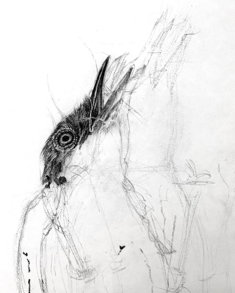 LSussmanRandall's tweet photo. #fragilethings #studiowall #wip #america #gaspingforair #americandream #birdonawire #bird #brokenhearts #democracy #outoftheashes #drawing #charcoaldrawing #art #fineart #cltarts #cltartist #resist #protestart #twitter #internationalwomensday https://t.co/TrxPyc5wmw https://t.co/Nco3VMp8zh
