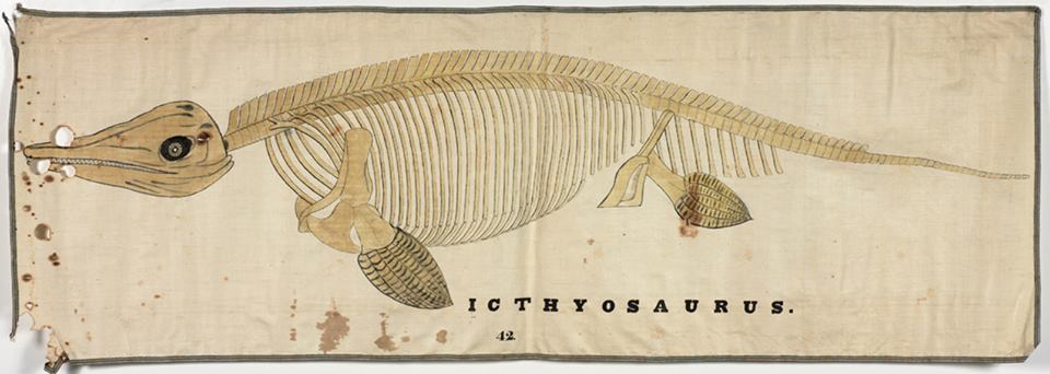 History_of_Geology tweet media