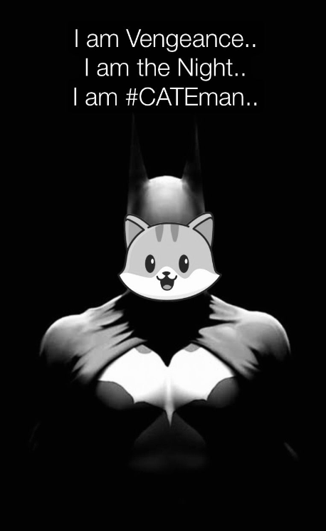 catecoin's tweet photo. Evolution is everything!
#CATEman(2021) is all set to start and grow, similar to how the character of #Batman(1966) grew and evolved over time.

#Catecoin #100xGems  #Batman #nft https://t.co/22AsCGJlnA