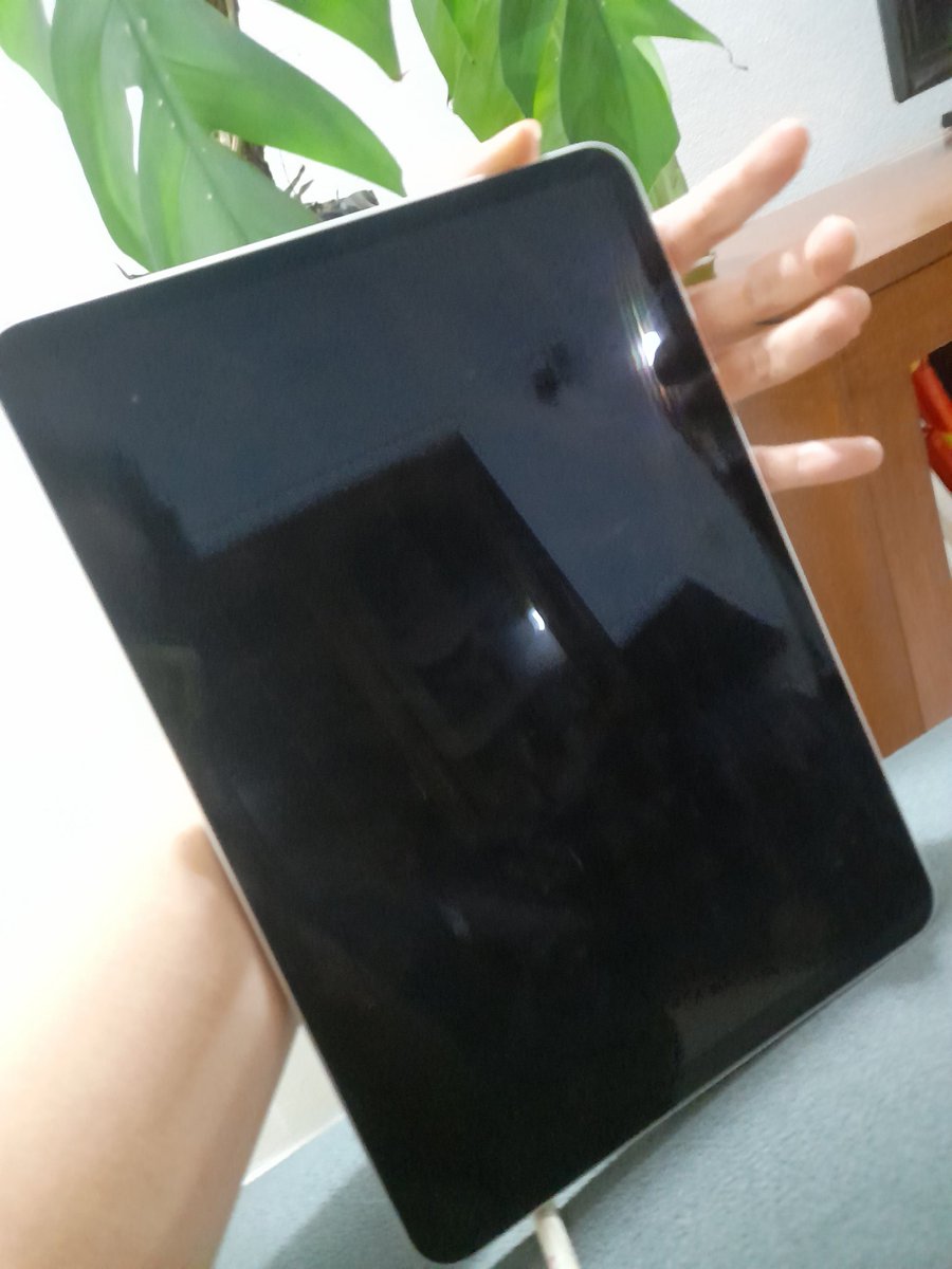 Holaaa, vengo a vender todo porque se tiene que operar mi perrita bebé, tiene un parásito rarísimo y es urgente la cirugía. Vendo mi Apple iPad Pro 11" Wifi 64 GB - Plata en perfectas condiciones por 4.000.000 Gs. Rt por fa