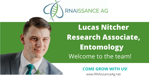 RNAissanceAg's tweet photo. Happy to welcome our newest associate, Lucas Nitcher, who joins us as a Research Associate, Entomology. #innovation #RNAi #agtech
https://t.co/pSMmhNF1LX https://t.co/WTXAKvcWed