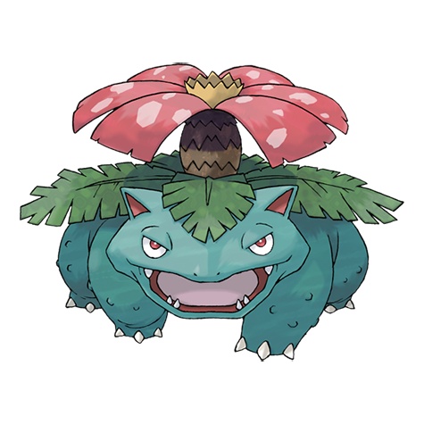 pandapown's tweet photo. If you were a gym leader, drop your type and the 4 pokemon you would have on your team. (GRASS ARC BABY) https://t.co/ew5NvA57nF