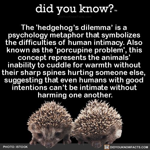 Arthur Schopenhauer conceived this metaphor to describe what he considers to be the state of the individual in relation to others in society. The hedgehog's dilemma suggests that despite goodwill, human intimacy cannot occur without substantial mutual harm, and what results is cautious behavior and weak relationships.

Hedgehog's dilemma - Wikipedia