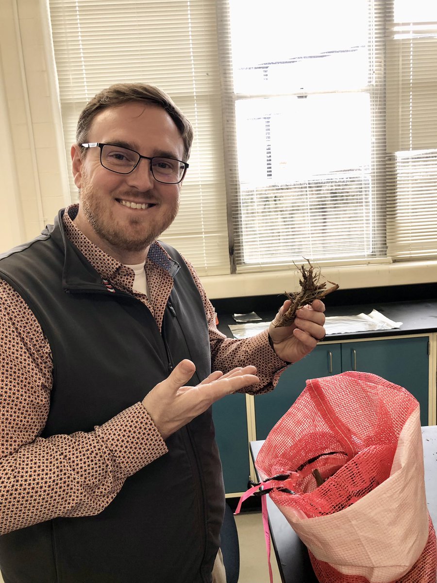 Zachariah Hansen (@plantdiseaseguy) on Twitter photo Hop rhizomes starting to arrive for our <a href="/UTAgResearch/">UT AgResearch</a> / <a href="/utextension/">UT Extension</a> hopyard! It’s getting real now. Much more to come! <a href="/UTAgronomy/">Mitchell Richmond</a> <a href="/alyamanita/">Alyssa Counce</a> Hop rhizomes starting to arrive for our <a href="/UTAgResearch/">UT AgResearch</a> / <a href="/utextension/">UT Extension</a> hopyard! It’s getting real now. Much more to come! <a href="/UTAgronomy/">Mitchell Richmond</a> <a href="/alyamanita/">Alyssa Counce</a>