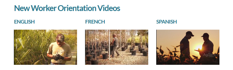 Occupational Health and Safety Regulations require employers to give a workplace health and safety orientation to each new or young worker before they begin work. AgSafe’s worker orientation videos are a place to start.

New Worker Orientation Video: bit.ly/WorkerOrientat…