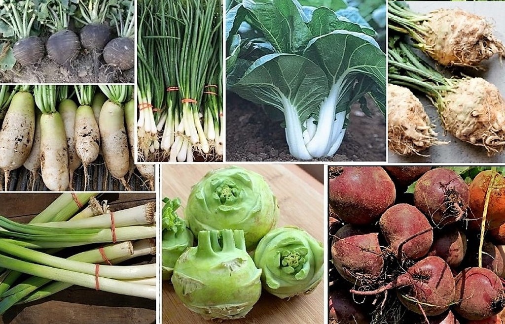 Order online by Thursday evening and pick-up right around the corner in Enfield on Saturday morning! Easy Pickin's Orchard is keepin' it local and fresh year round! squaremktg.com/campaigns/W44L…