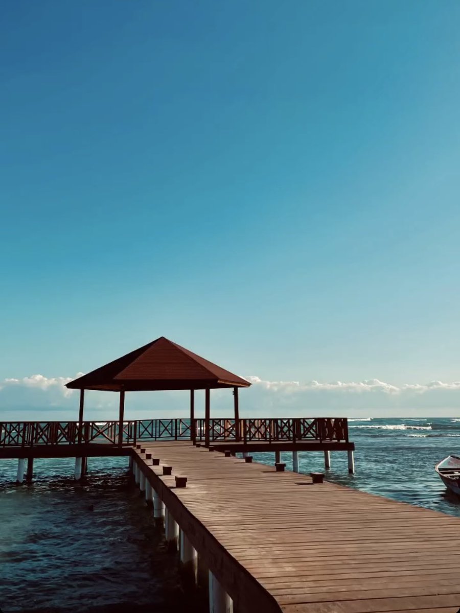 DONDE IR POP tweet media